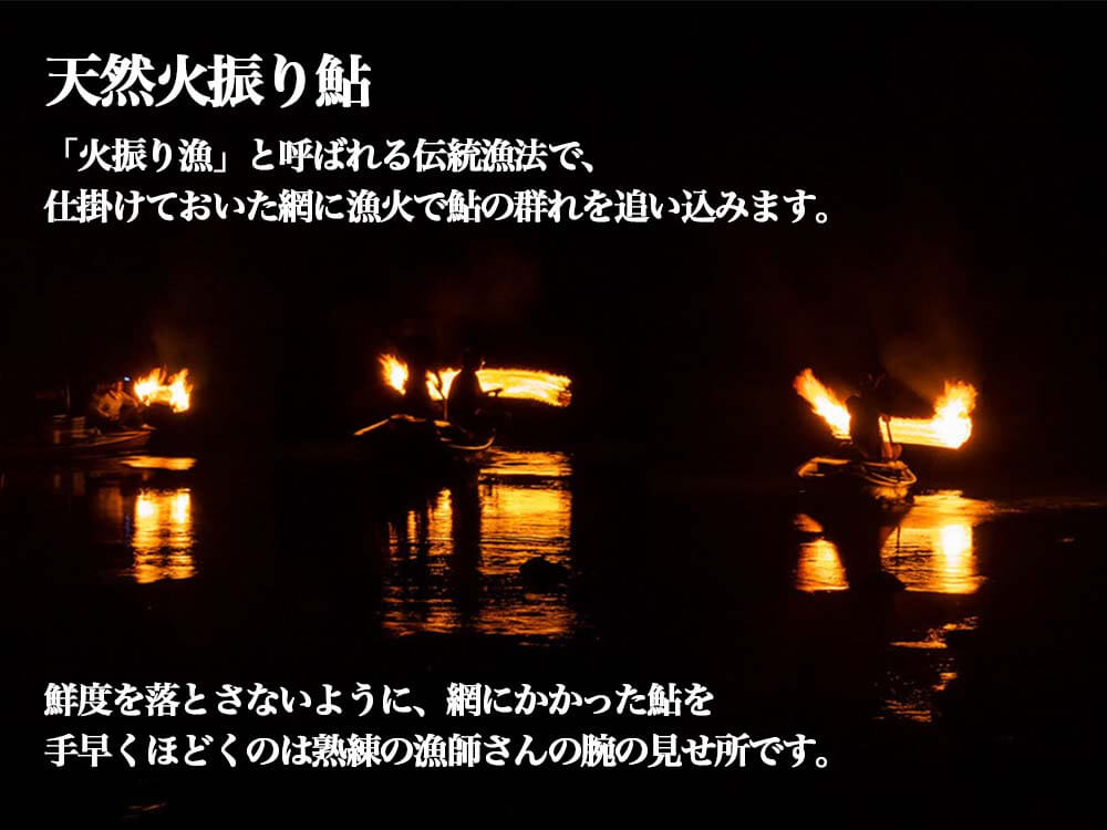 四万十川 朝獲れ 天然火振り鮎