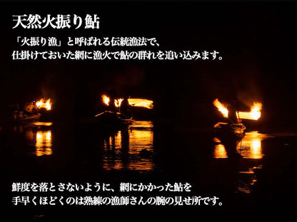 四万十川 朝獲れ 天然火振り鮎