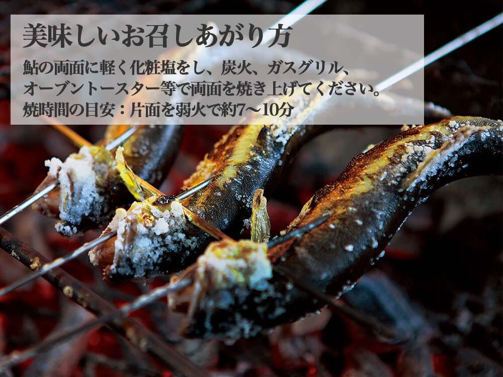 四万十川 朝獲れ 天然火振り鮎