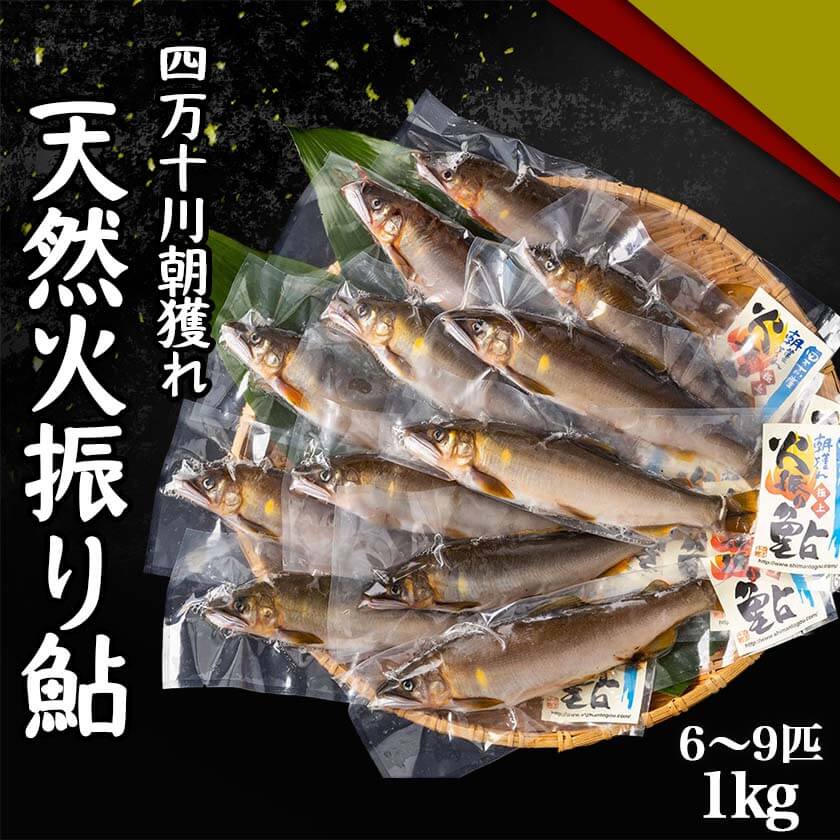 四万十川 朝獲れ 天然火振り鮎
