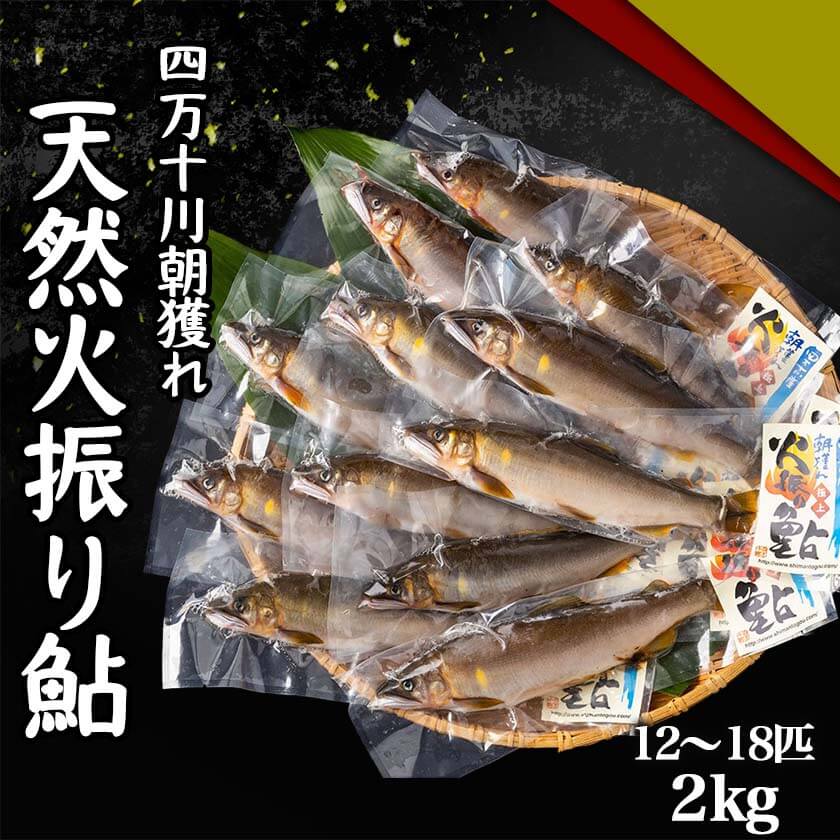 四万十川 朝獲れ 天然火振り鮎