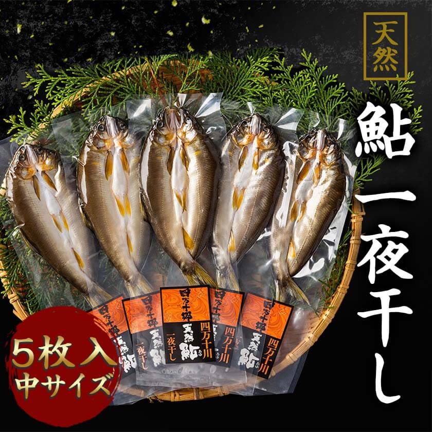 天然鮎 一夜干し – 高知かわうそ市場