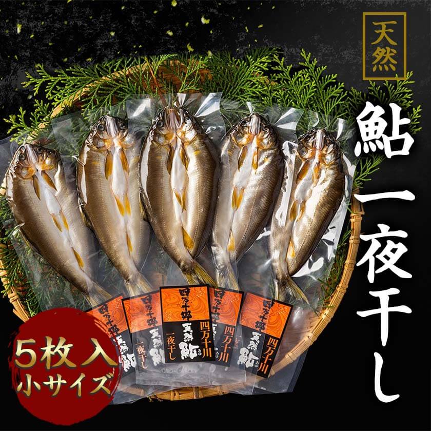 天然鮎 一夜干し