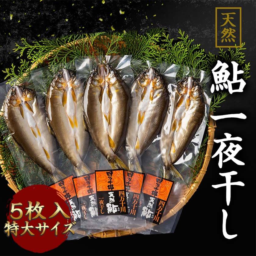 天然鮎 一夜干し