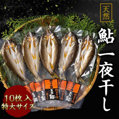 天然鮎 一夜干し