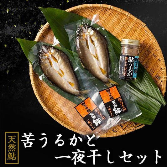 天然鮎【極上】苦うるかと一夜干しセット