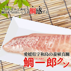 愛媛県宇和島の養殖マダイ「鯛一郎クン」お刺身用【鮮魚】