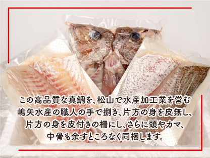 愛媛県宇和島の養殖マダイ「鯛一郎クン」お刺身用【鮮魚】