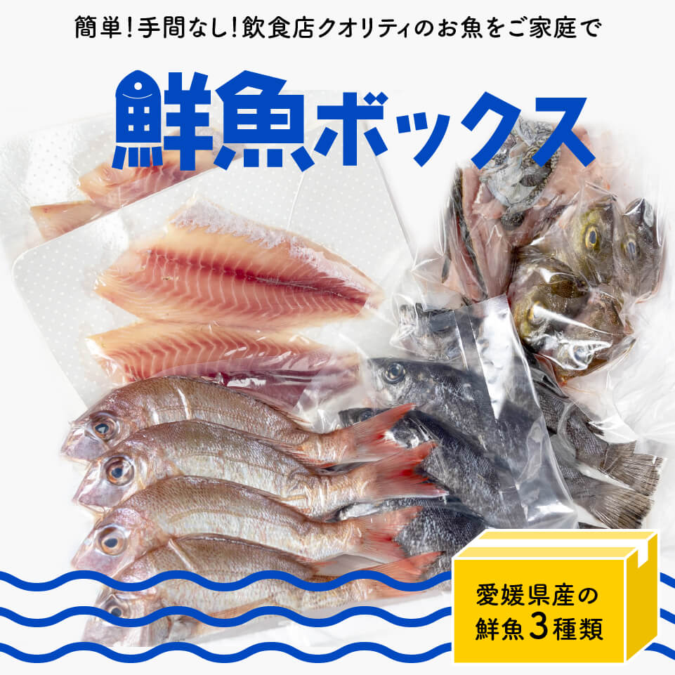 【嶋矢水産厳選】季節のお勧め鮮魚BOX（約4人前）【下処理済み】【鮮魚】