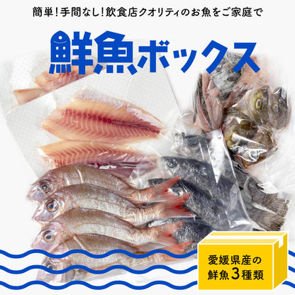 【嶋矢水産厳選】季節のお勧め鮮魚BOX（約4人前）【下処理済み】【鮮魚】