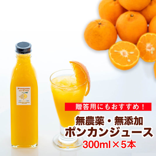 【農薬・防腐剤不使用】無添加有機ポンカンジュース300ml瓶×5本