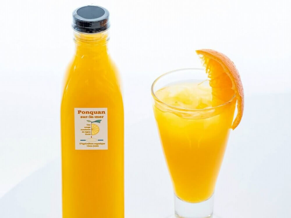 【農薬・防腐剤不使用】無添加有機ポンカンジュース300ml瓶×5本