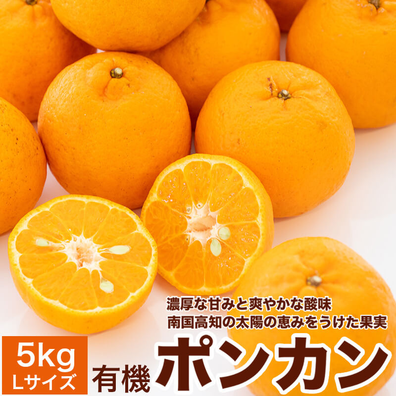 【2月初旬より順次出荷】甘くておいしい有機ポンカンＬサイズ5kg【高知県須崎市・田條園】【柑橘】