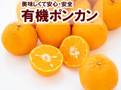 【2月初旬より順次出荷】甘くておいしい有機ポンカンＬサイズ5kg【高知県須崎市・田條園】【柑橘】