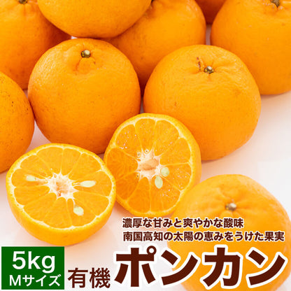 【2月初旬より順次出荷】甘くておいしい有機ポンカンＭサイズ5kg【高知県須崎市・田條園】【柑橘】