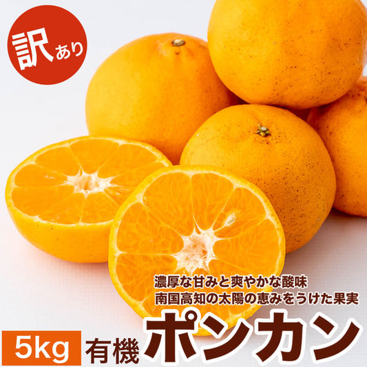【2月初旬より順次出荷】甘くておいしい有機ポンカン　訳あり5kg【高知県須崎市・田條園】【柑橘】