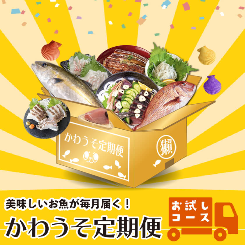 かわうそ定期便]お試しコース[毎月届くお魚定期便][鮮魚] – 高知