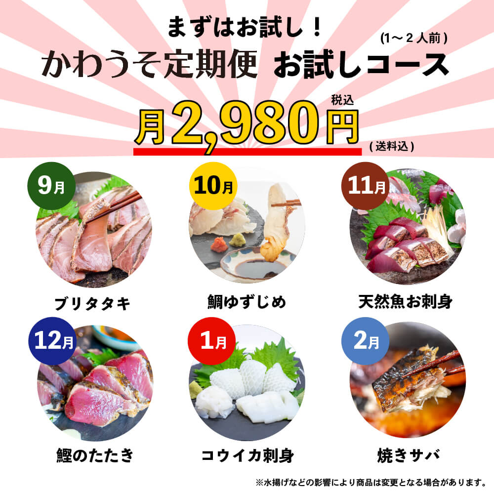 [かわうそ定期便]お試しコース[毎月届くお魚定期便][鮮魚]