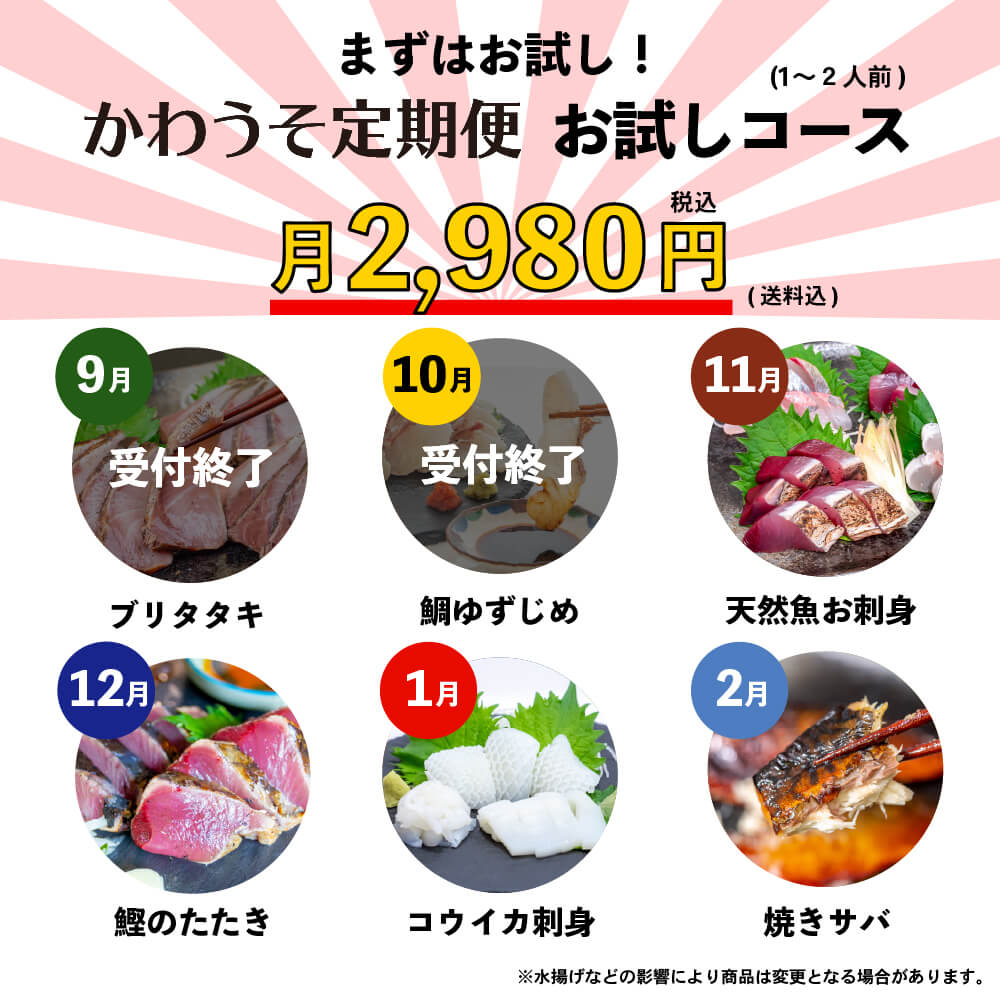 [かわうそ定期便]お試しコース[毎月届くお魚定期便][鮮魚]