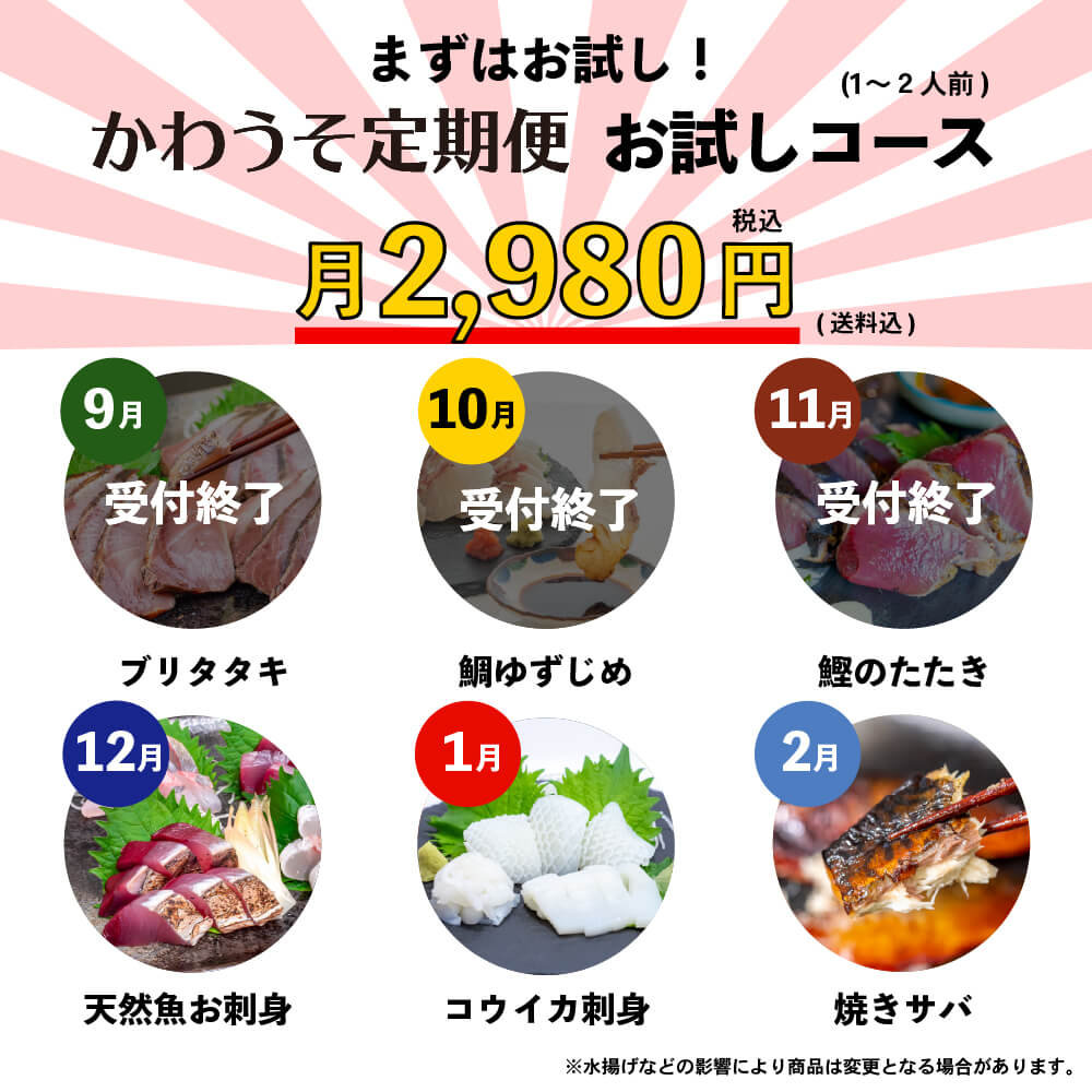 [かわうそ定期便]お試しコース[毎月届くお魚定期便][鮮魚]