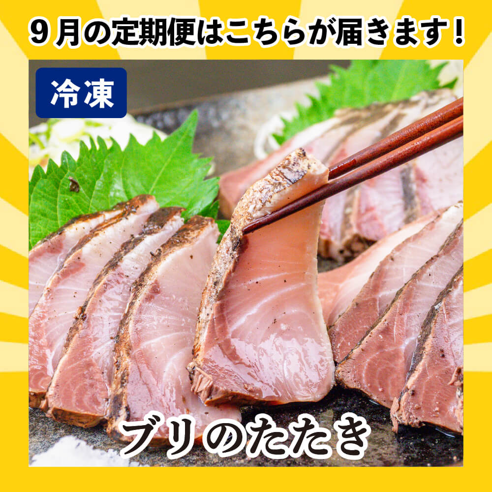 [かわうそ定期便]お試しコース[毎月届くお魚定期便][鮮魚]