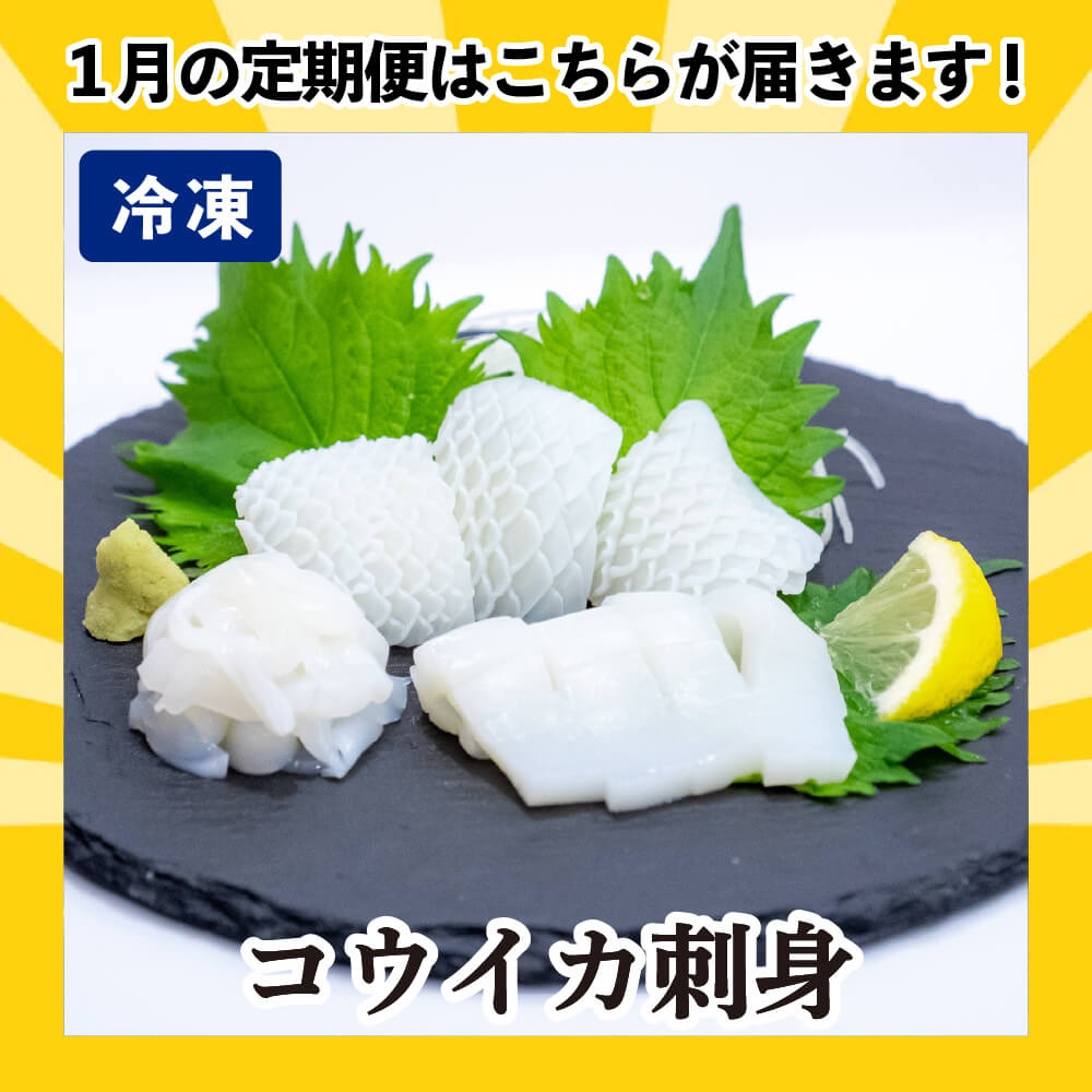 かわうそ定期便]お試しコース[毎月届くお魚定期便][鮮魚] – 高知