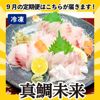 [かわうそ定期便]お試しコース[毎月届くお魚定期便][鮮魚]