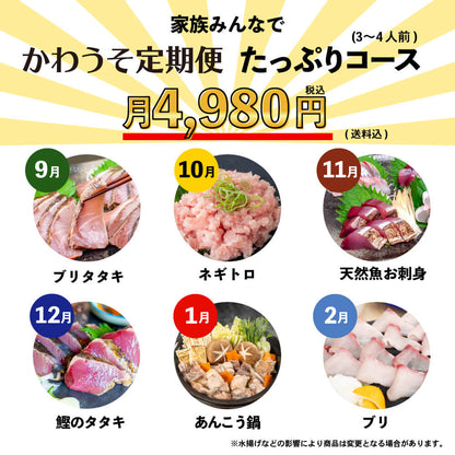 [かわうそ定期便]たっぷりコース[毎月届くお魚定期便][鮮魚]