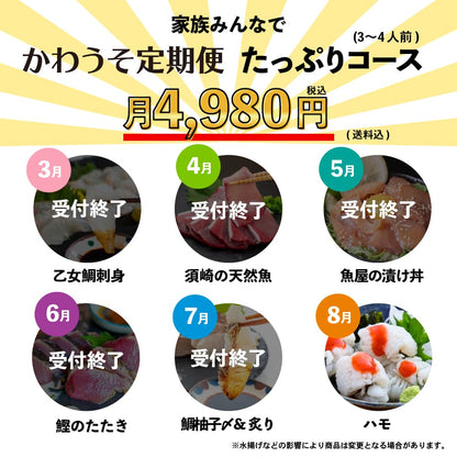 [かわうそ定期便]たっぷりコース[毎月届くお魚定期便][鮮魚]