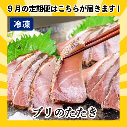 [かわうそ定期便]たっぷりコース[毎月届くお魚定期便][鮮魚]