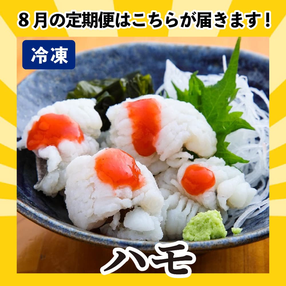 [かわうそ定期便]たっぷりコース[毎月届くお魚定期便][鮮魚]