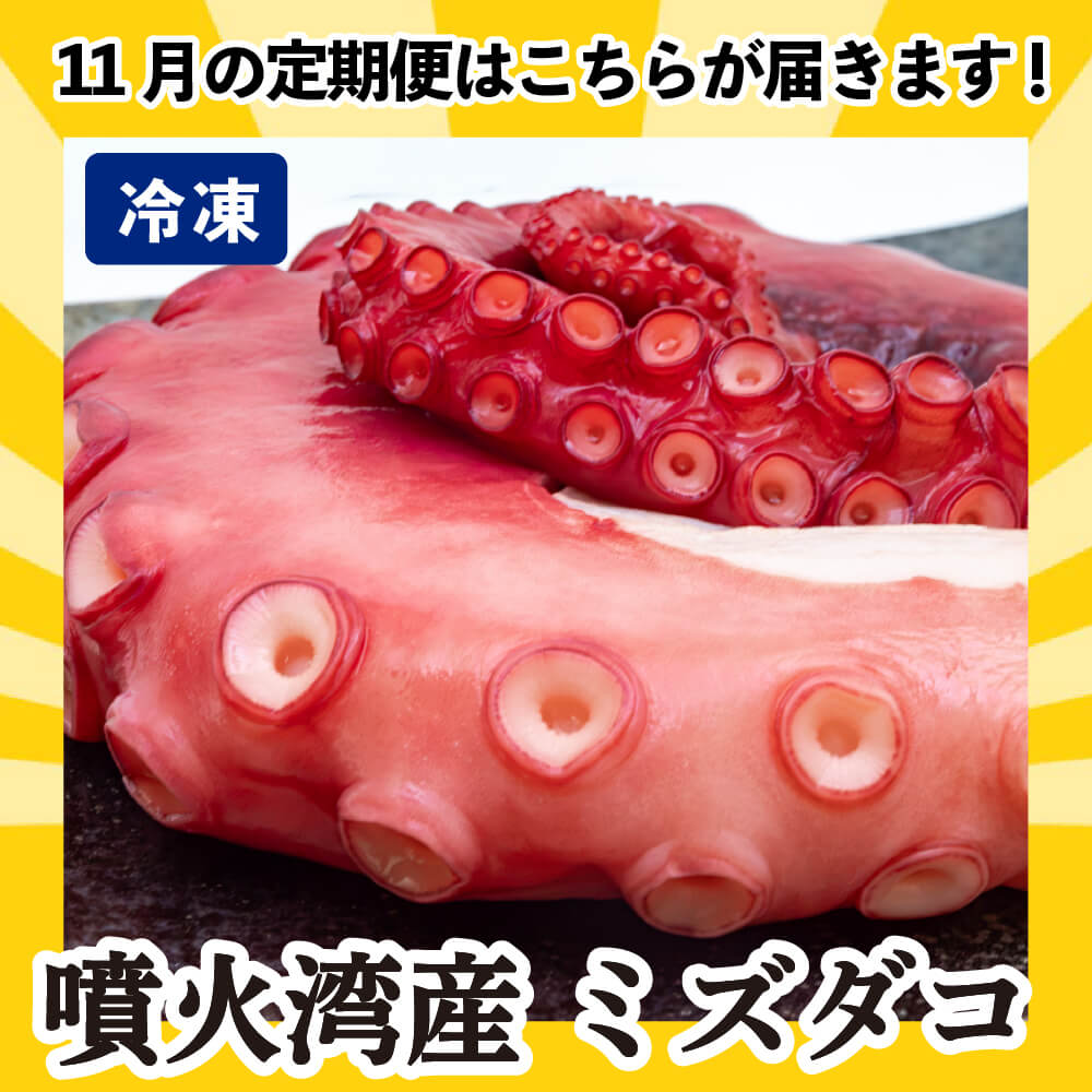 [かわうそ定期便]たっぷりコース[毎月届くお魚定期便][鮮魚]