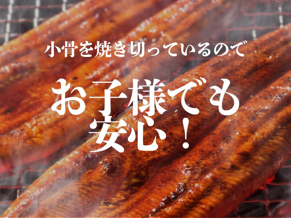【土佐料理発祥の店】土佐料理司の「カツオの塩たたき」と「天のうなぎ蒲焼」セット【カツオ】