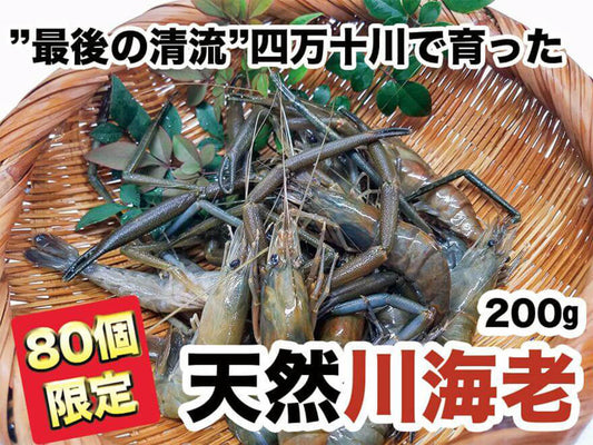 【希少】“最後の清流”四万十川で育った　天然川海老　200g