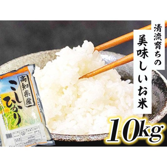 高知県産コシヒカリ 10kg