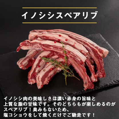 ゆすはらジビエの里　イノシシ スペアリブ 500g