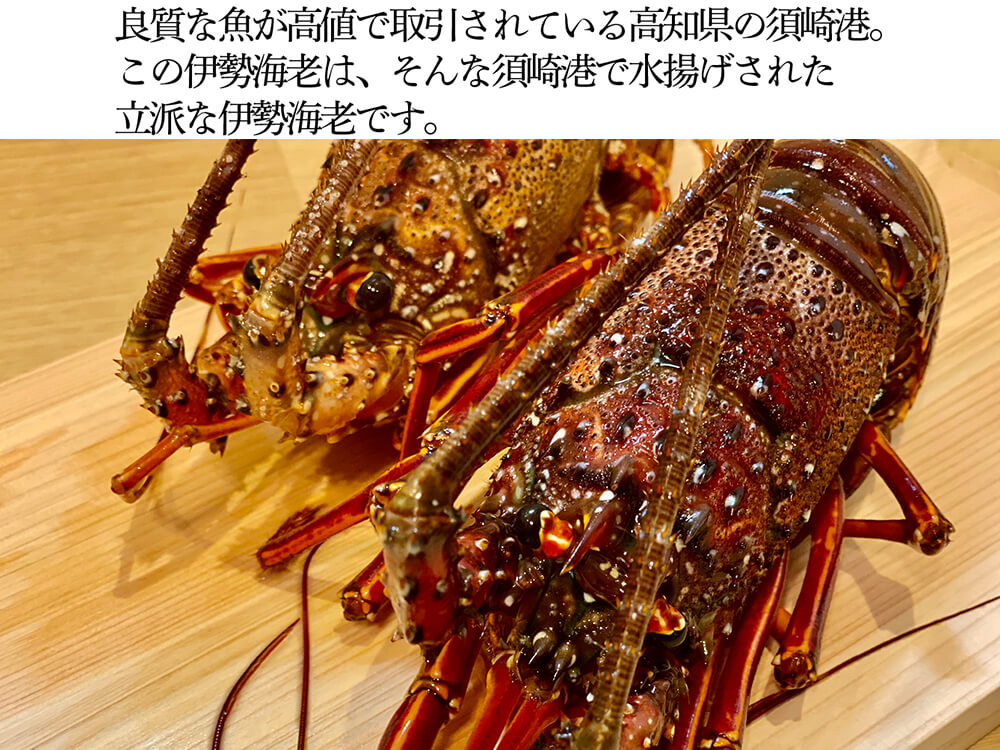 職人吉岡の冷凍伊勢海老 調理のしやすい小さめサイズ（4尾で600ｇ以上）