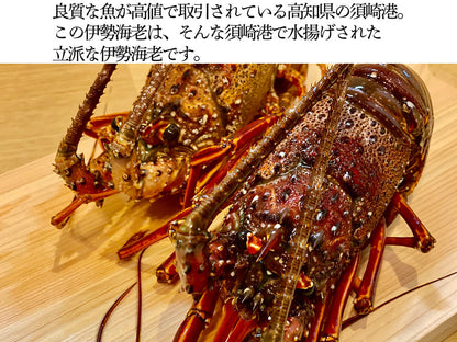 職人吉岡の冷凍伊勢海老 調理のしやすい小さめサイズ（4尾で600ｇ以上）