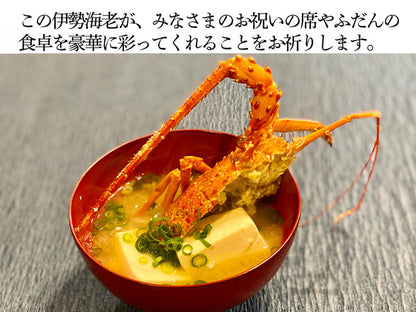 職人吉岡の冷凍伊勢海老 調理のしやすい小さめサイズ（4尾で600ｇ以上）