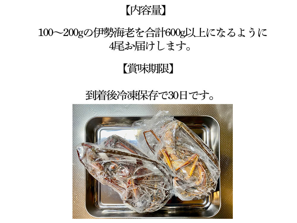 職人吉岡の冷凍伊勢海老 調理のしやすい小さめサイズ（4尾で600ｇ以上）