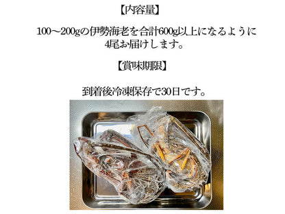 職人吉岡の冷凍伊勢海老 調理のしやすい小さめサイズ（4尾で600ｇ以上）