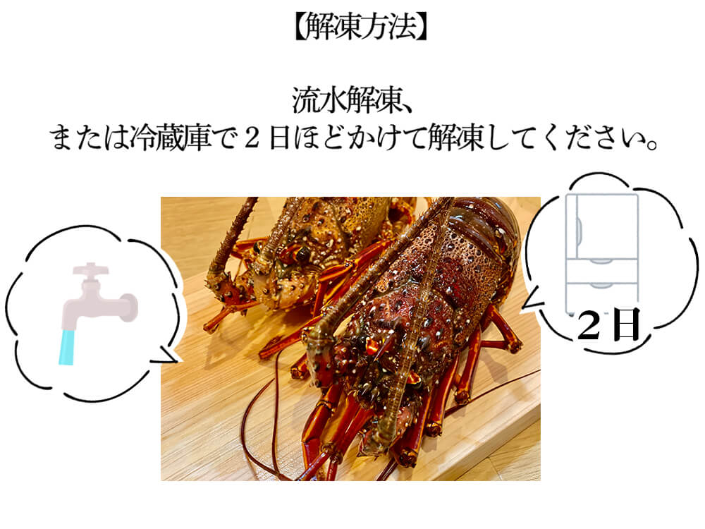 職人吉岡の冷凍伊勢海老 調理のしやすい小さめサイズ（4尾で600ｇ以上）