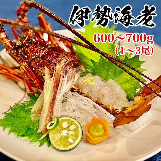 職人吉岡の冷凍伊勢海老1尾~3尾(600~700g)