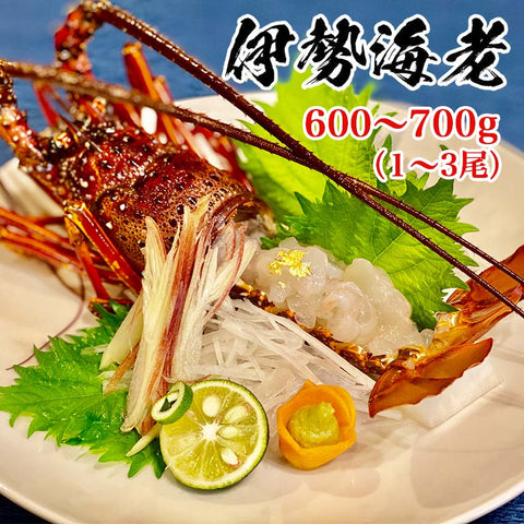 職人吉岡の冷凍伊勢海老1尾~3尾(600~700g)