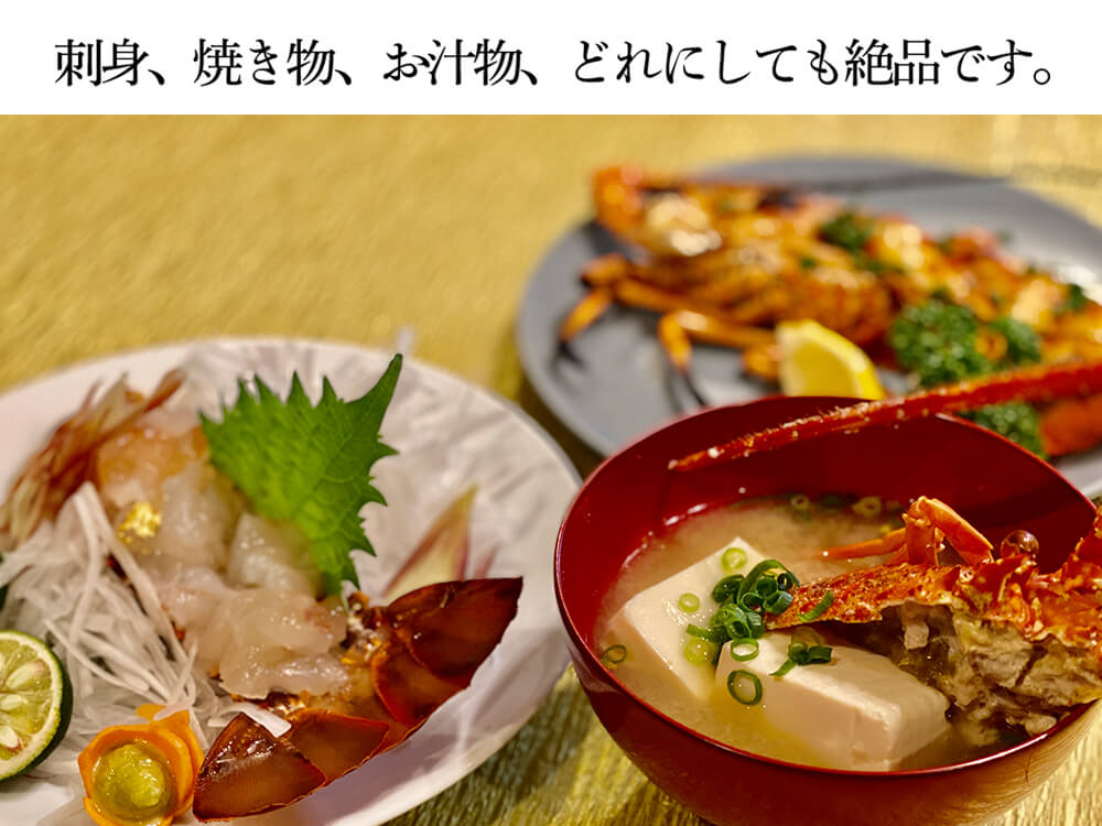職人吉岡の冷凍伊勢海老1尾~3尾(600~700g) – 高知かわうそ市場