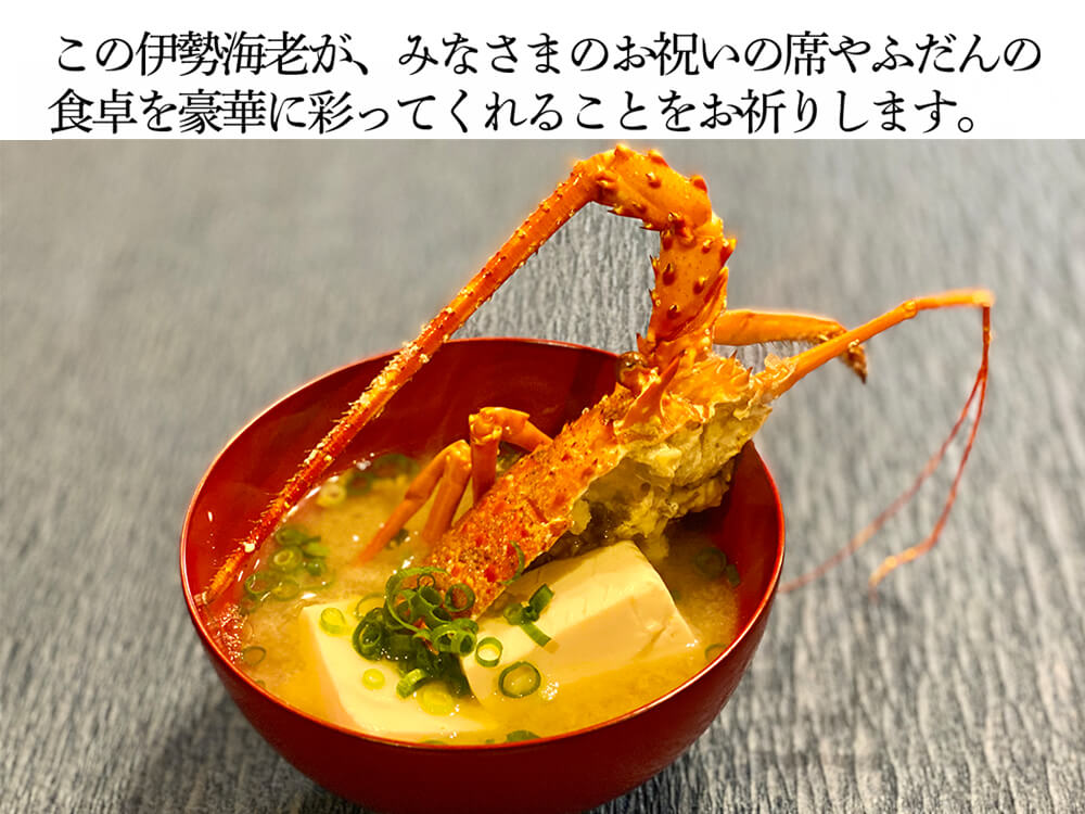 ！金城さん！冷凍伊勢海老 楽天市場】幻の特大伊勢海老 超特大500g〜590gサイズ（活〆冷凍