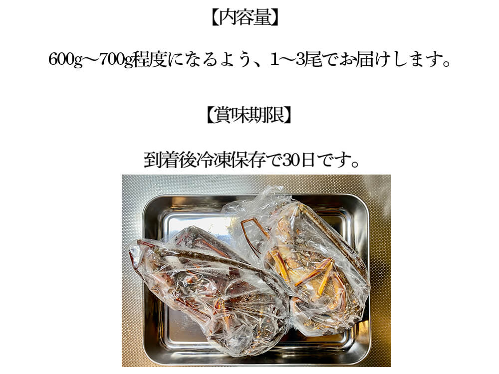 超値下げ❗️冷凍された伊勢海老1㌔6600円解凍後生食可‼️送料込‼️ 超値下げ❗️冷凍された伊勢海老1㌔6600円解凍後生食可