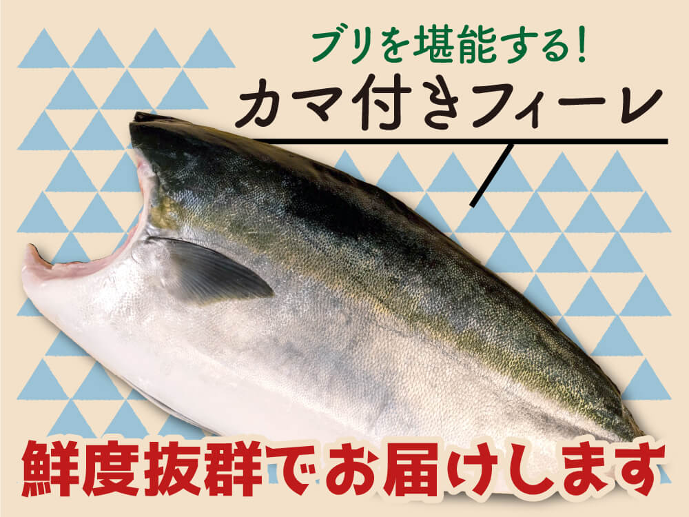 荒木さん家のブリ（皮・カマ付き半身）【鮮魚】【ブリ】
