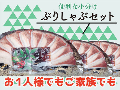 【お手軽ぶりしゃぶセット】荒木さん家のブリ（ぶりしゃぶ用）【ブリ】