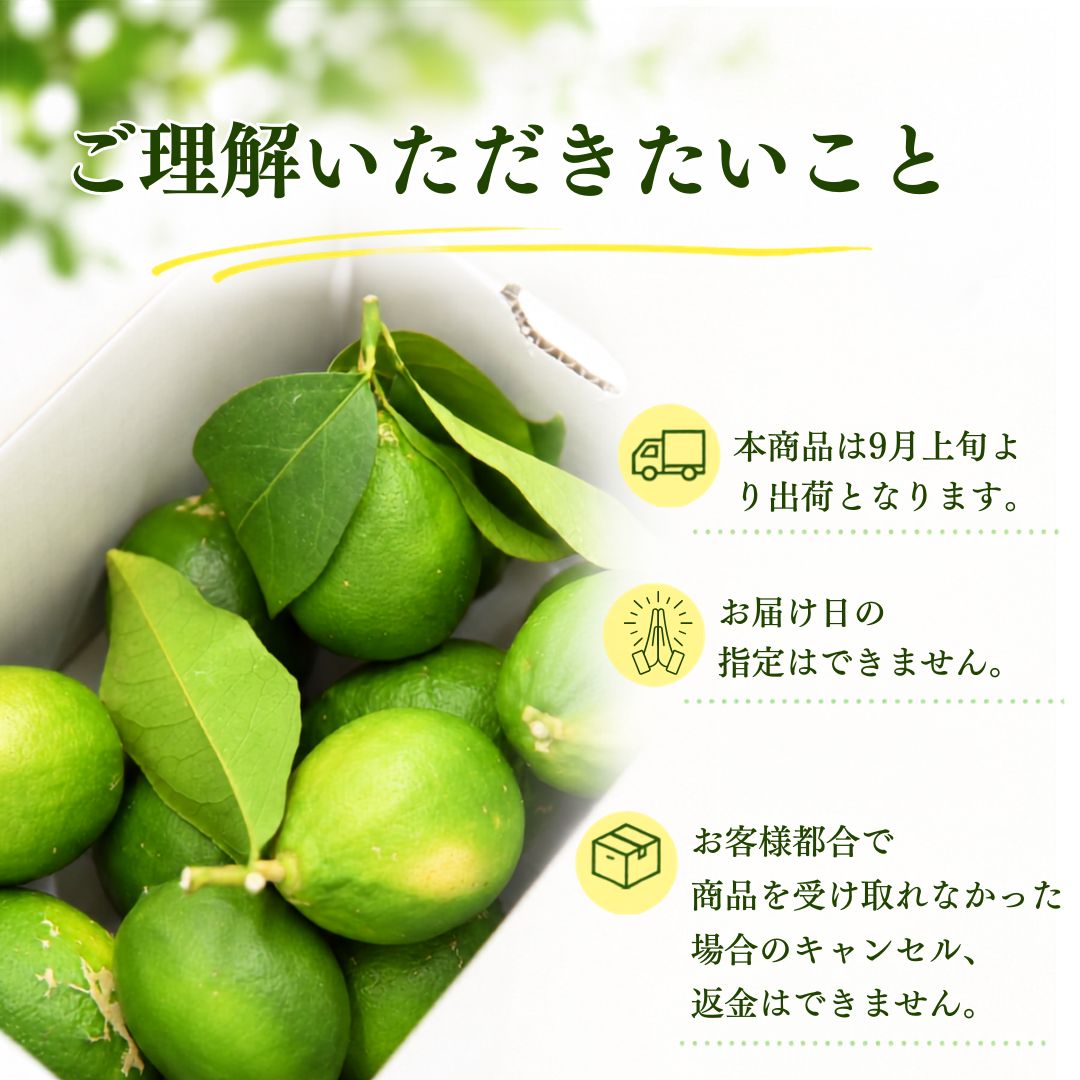 【先行予約・9月上旬より出荷】高知県産 家庭用 グリーンレモン 3kg～5kg【栽培期間中農薬不使用】